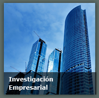 Investigación Empresarial